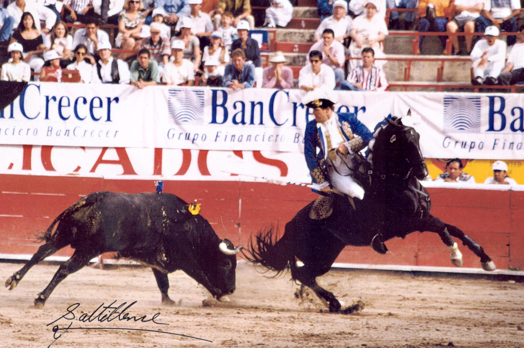Hawk bullfighting for frame