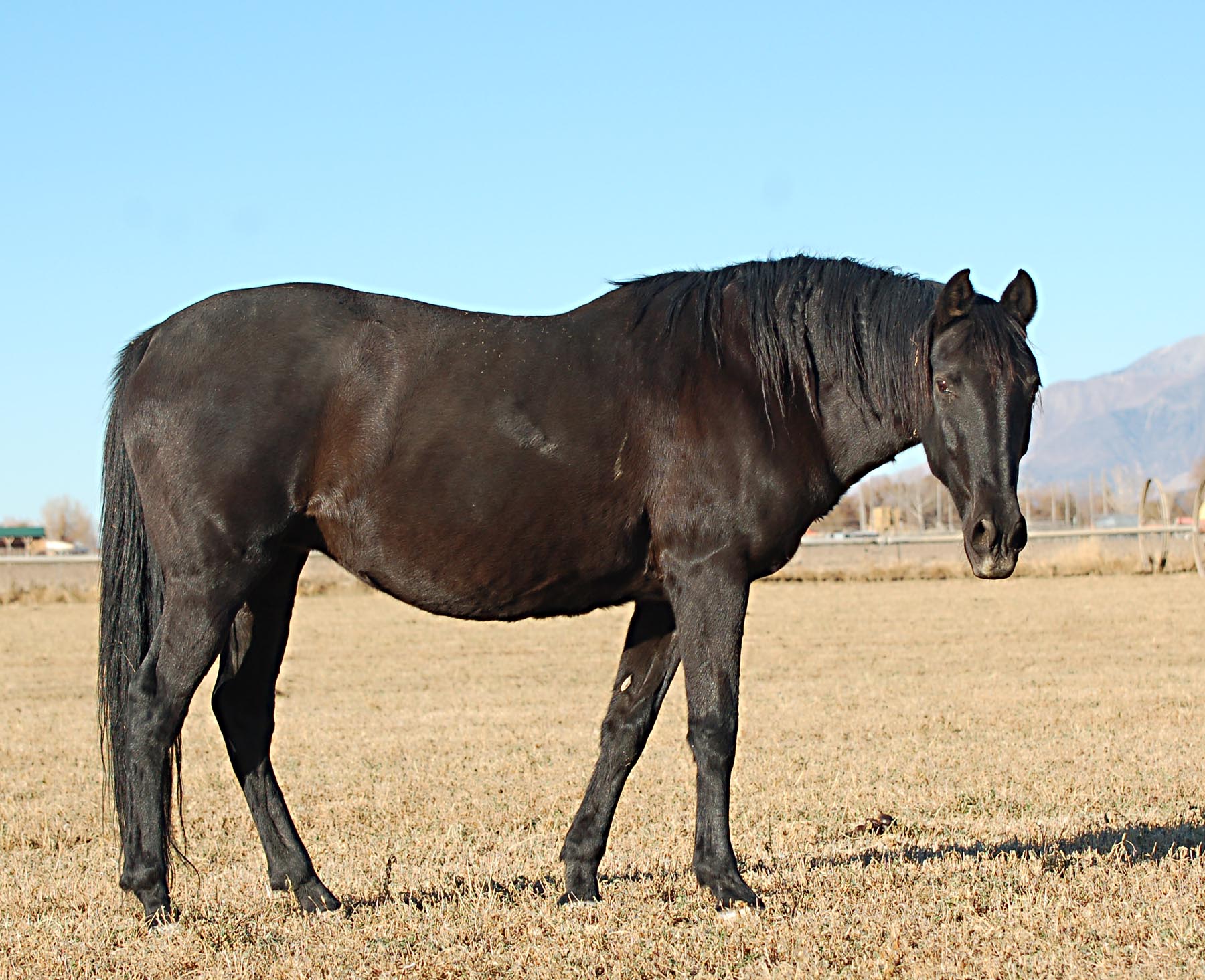 Peqina at 21 years old