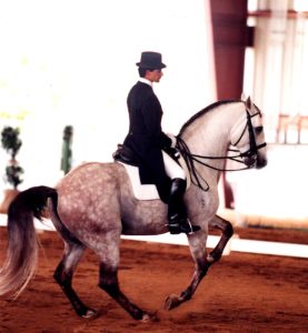Quarteto To Top - Grand Prix