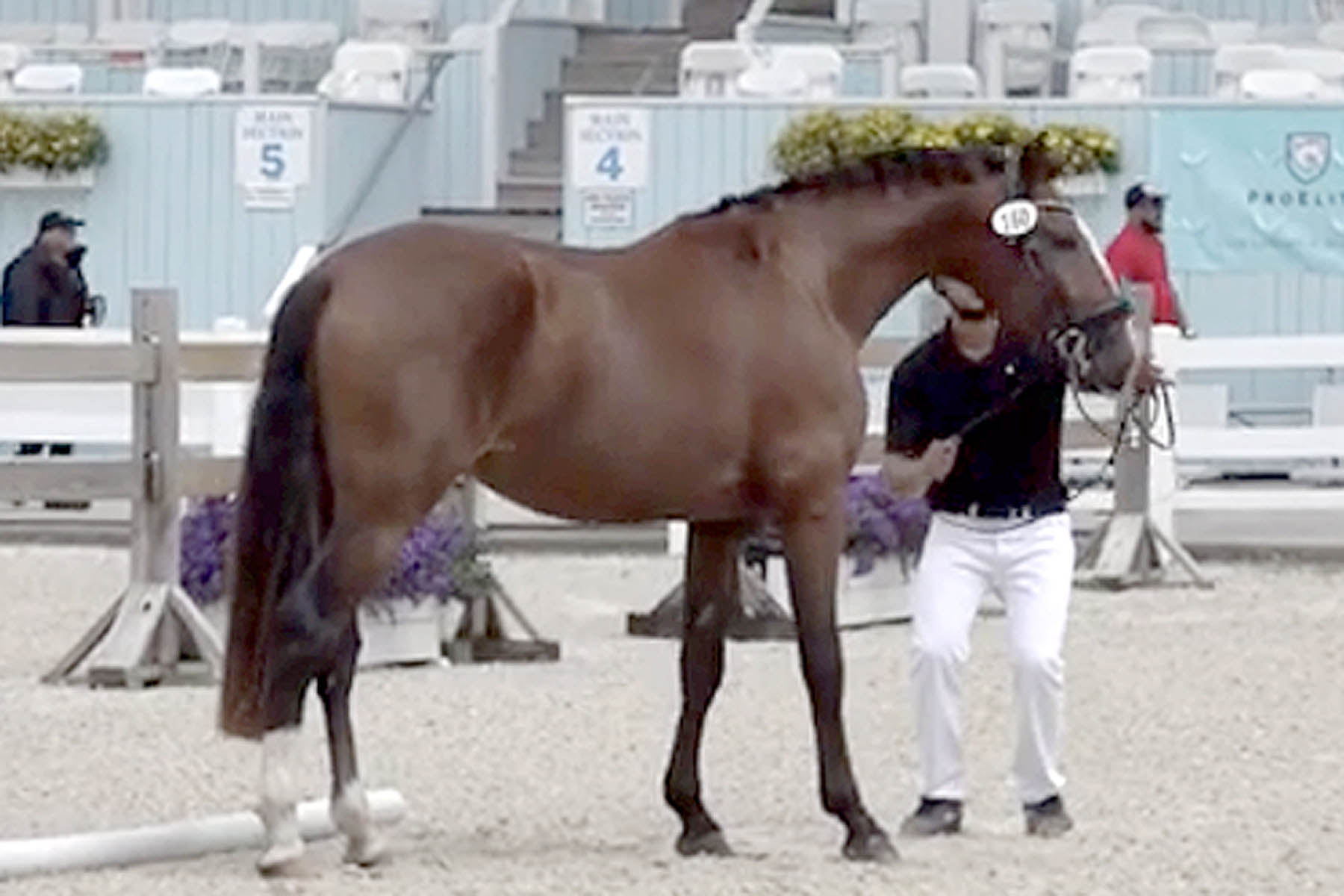 Onasis Untitled-2 copy