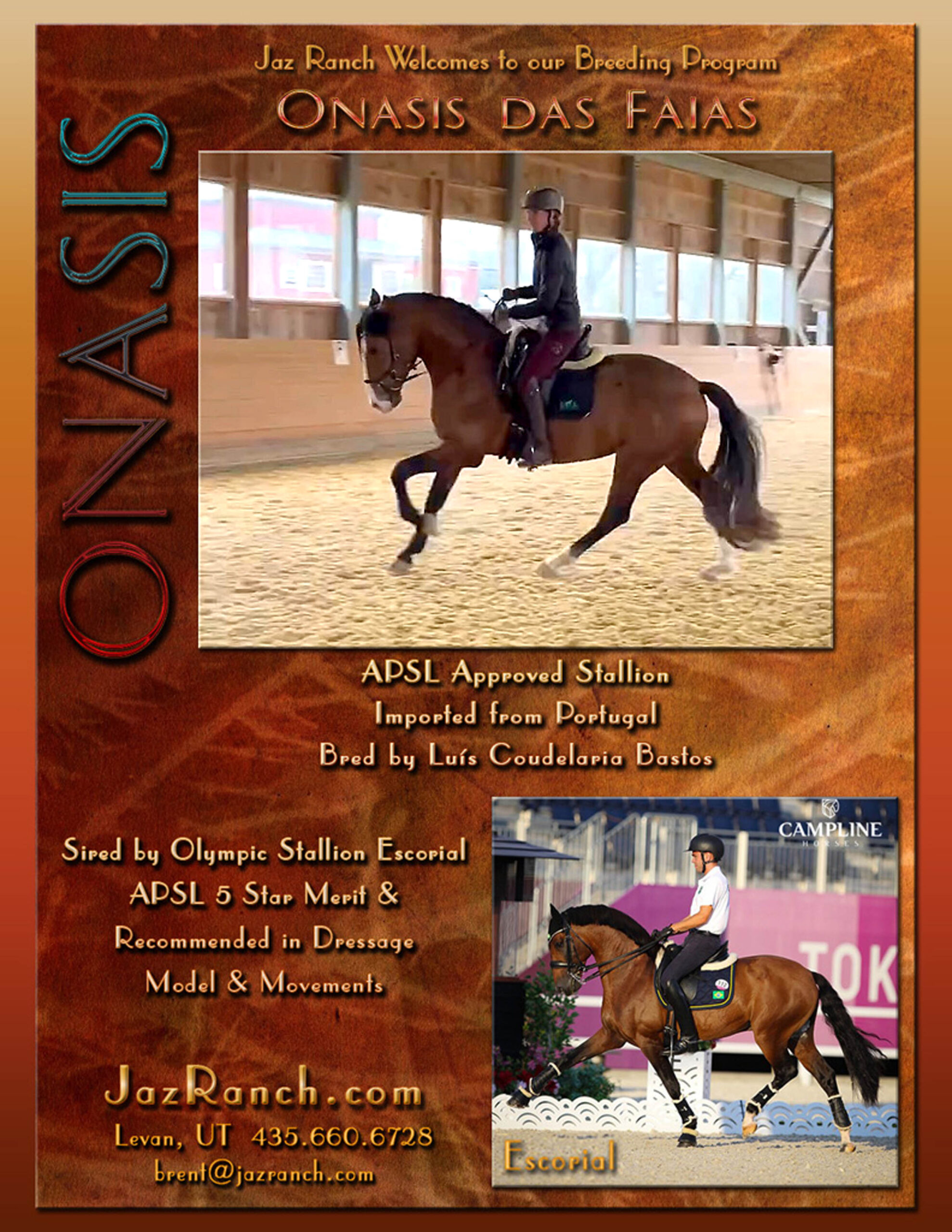 Onasis flyer