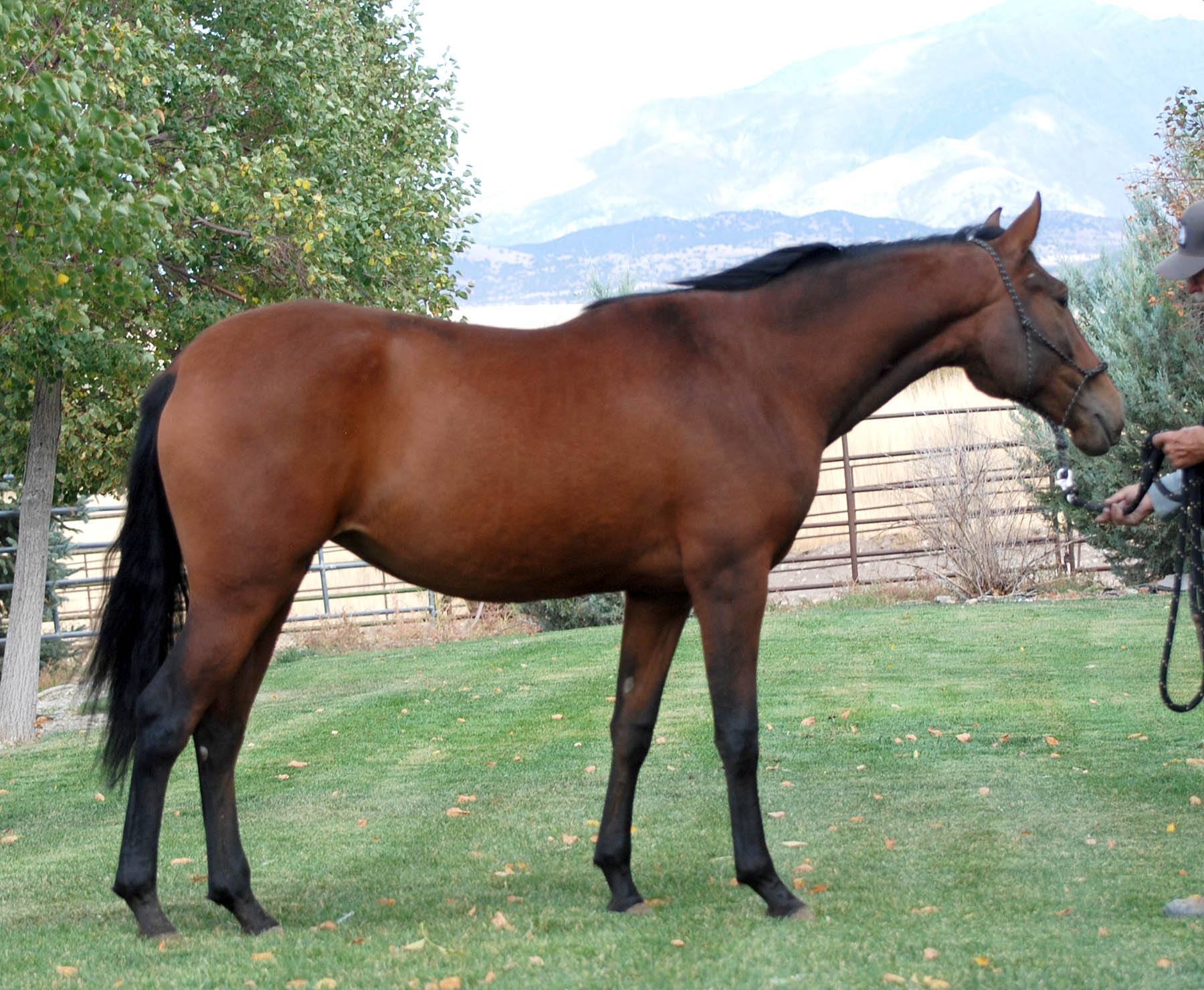 Utopia 10-09-25 DSC_1085